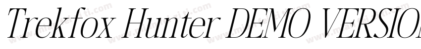 Trekfox Hunter DEMO VERSION Italic字体转换
